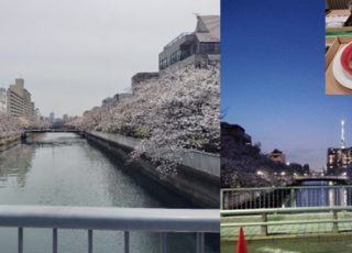 今年度もいっぱい吞みましたイメージ