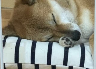 久しぶりの…イメージ
