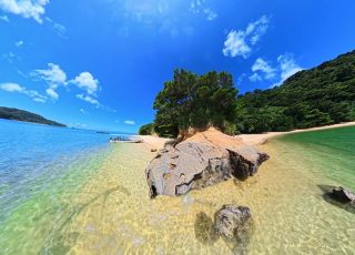 南の島の夏休みイメージ